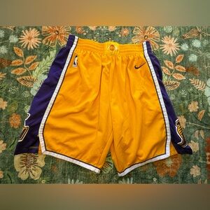Nike Los Angeles Lakers Icon Edition Swingman Shorts AJ5617-728. Adult Sz: Small